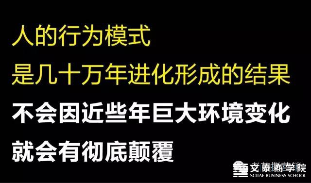 再论YY型营销